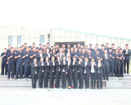 Professional team